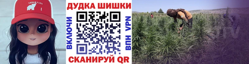 Виды наркоты Кимры Метамфетамин  СОЛЬ  hydra как войти  КОКАИН  ГАШИШ  Мефедрон  АМФЕТАМИН  Псилоцибиновые грибы 
