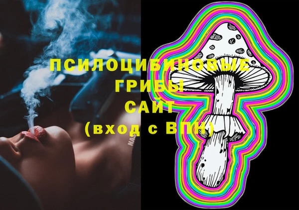 ПСИЛОЦИБИНОВЫЕ ГРИБЫ Алексин