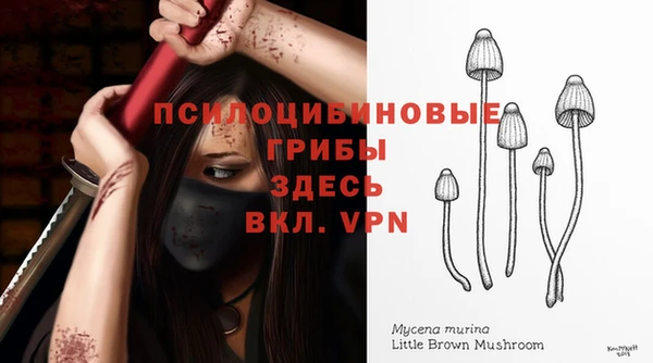 скорость Алзамай
