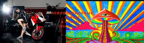 скорость Алзамай