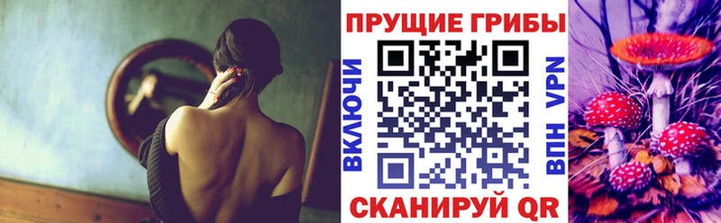 Псилоцибиновые грибы Cubensis Кимры