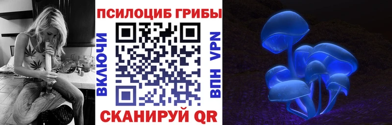 купить  цена  mega как зайти  Псилоцибиновые грибы мицелий  Кимры 