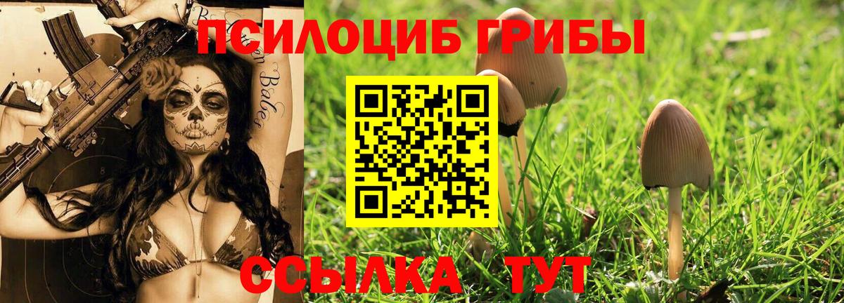 Кимры  Псилоцибиновые грибы ЛСД  Вход с VPN 